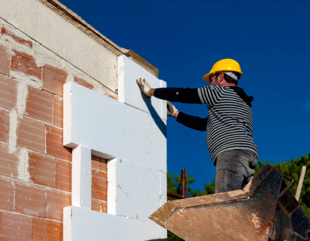 Best Insulation Repair Services  in Genoa, IL