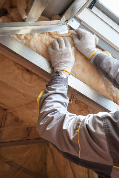 Best Crawl Space Insulation  in Genoa, IL