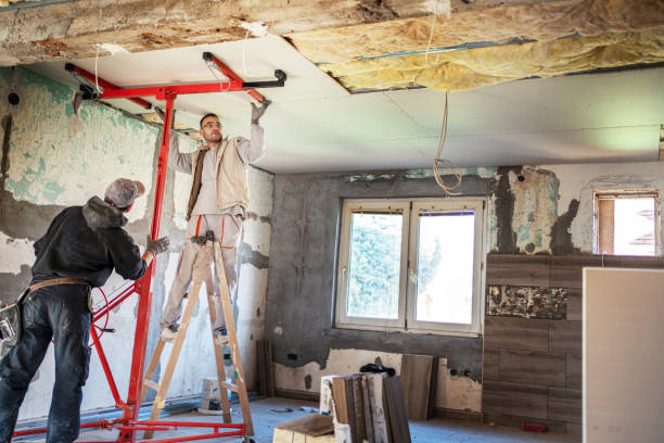 Best Residential Insulation Services  in Genoa, IL