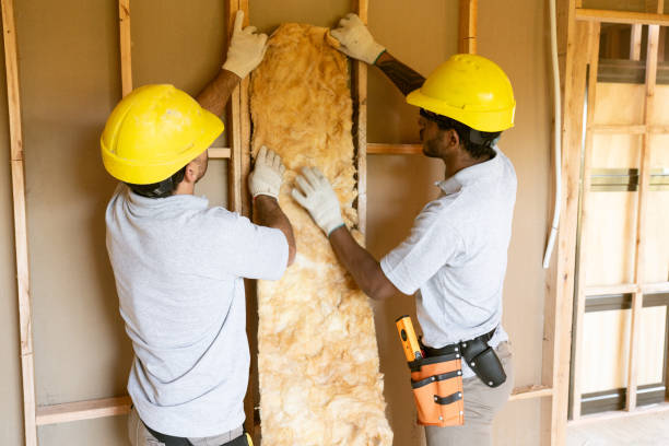 Best Insulation for Commercial Buildings  in Genoa, IL