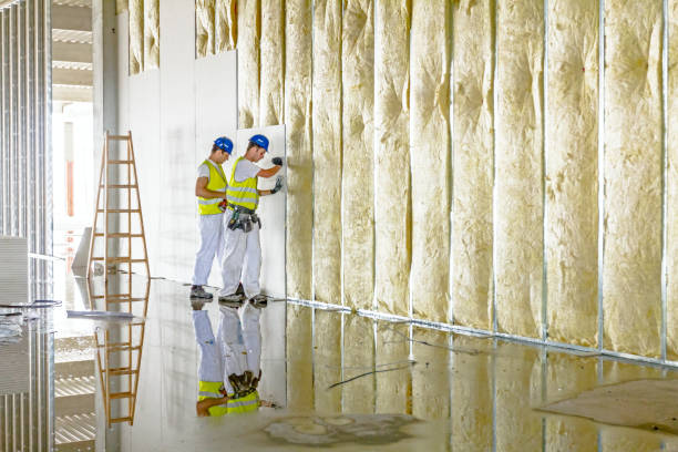 Insulation Replacement Services in Genoa, IL